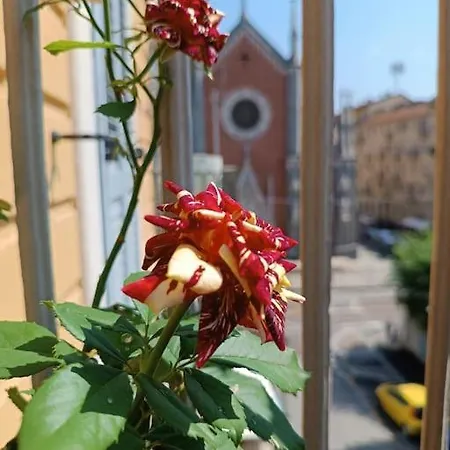 아파트 La Casa Di Rossella 토리노